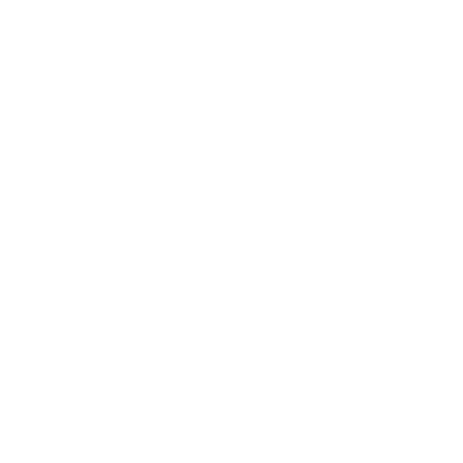 Vileda Home