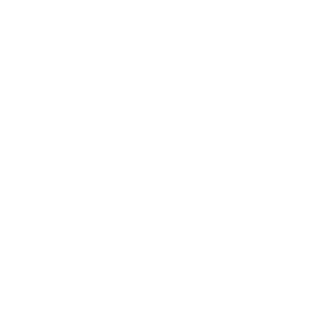 Vorwerk Twercs
